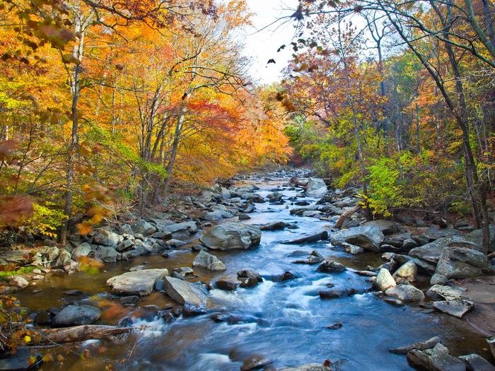 Rock Creek Park