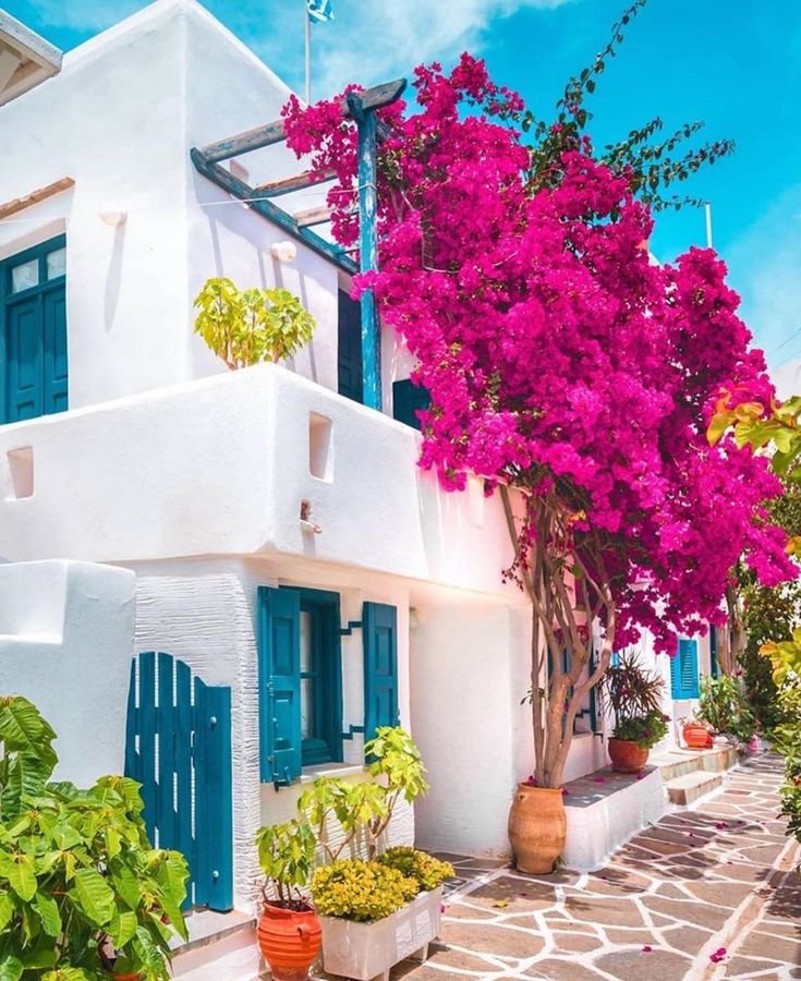 things to do in paros