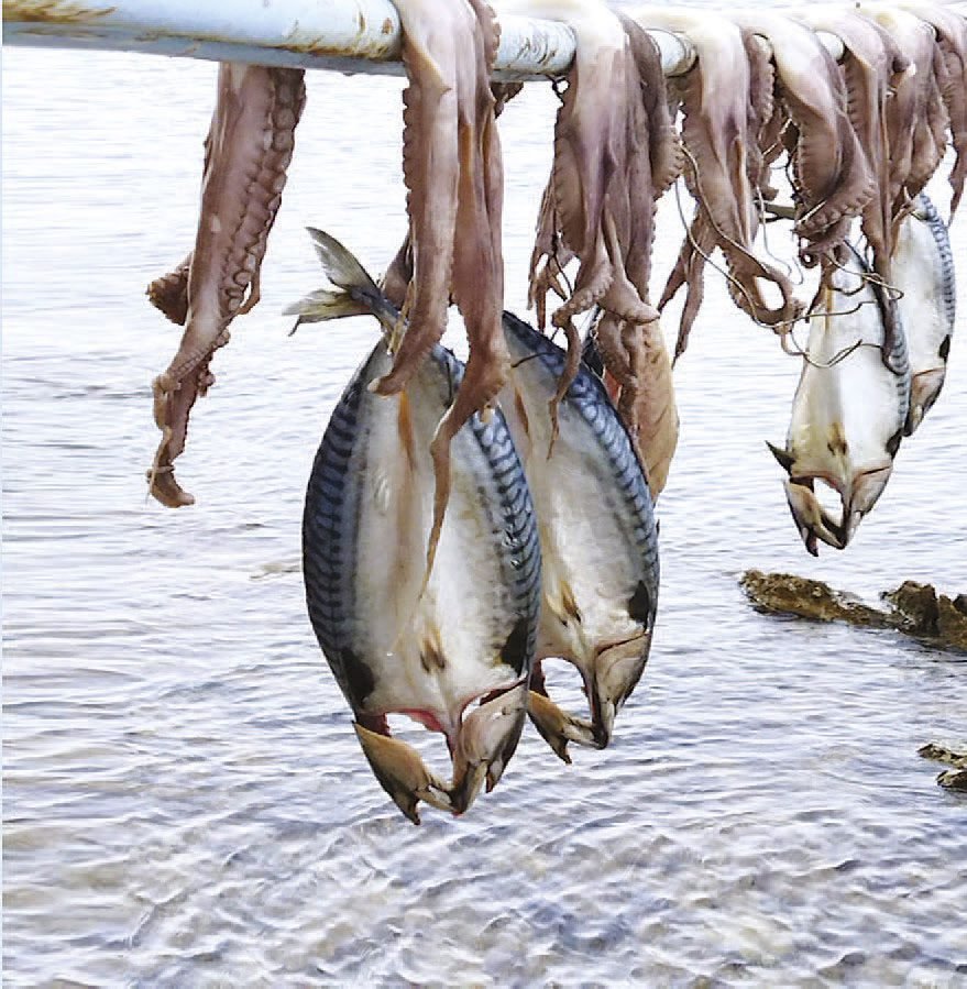 Live Caught Seafood